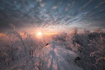 Pathway to the sun / ***
