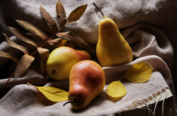 Autumn colors ... / ***