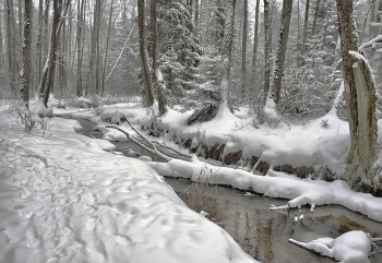 Winter road / ***