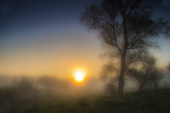 the sun / ***