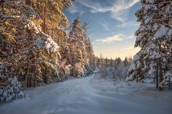 Winter road / ***