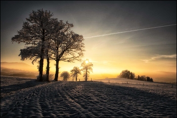Eichen / Sonnenuntergang