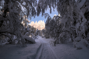 The road to the light / ***