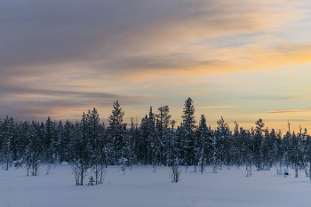 Under the Northern Sky / ***