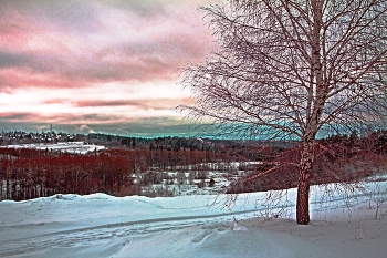 winter / ***