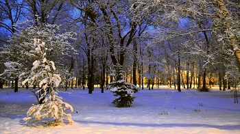 Winter / ***