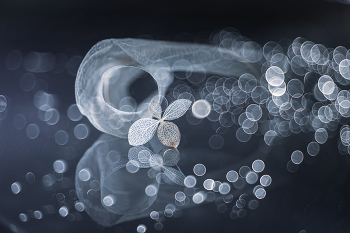 Whirlwind of change / ***