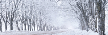 December road / ***