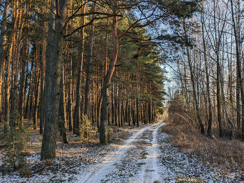 Winter road / """"
