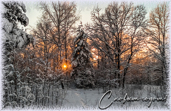 Happy New Year! / ***