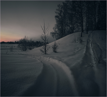 Fog dissipates / ...