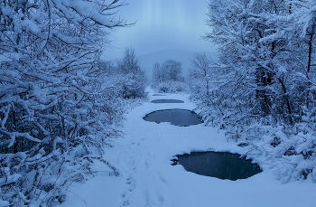 Footprints in the snow / ***