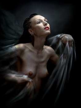 In flight of fantasy ... / ***