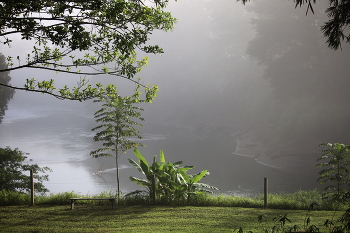 Morgennebel / ***