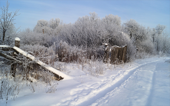 Along the path / ***