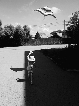 Flight / ***