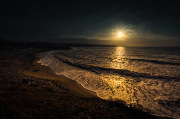 surf / ***