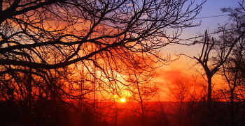 Morgendämmerung / ***