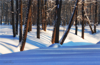winter / ***