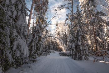Winter road / ***