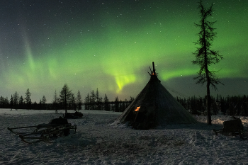 Aurora / ***