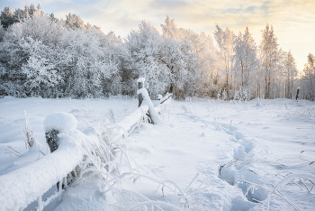 Frost and sun ... / ***