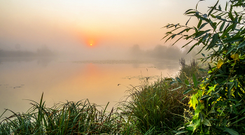 Cold morning / ***