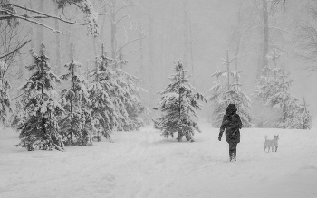 winter walk / ***