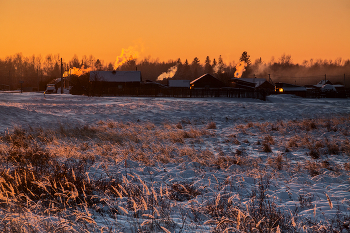 Evening light / ***