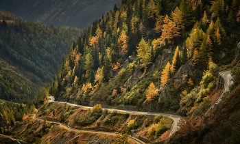 The road to autumn / ***