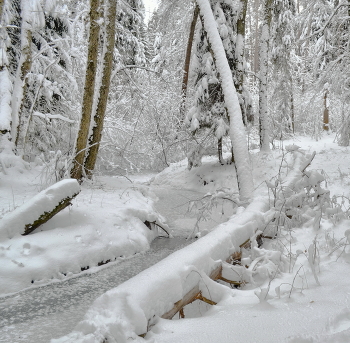 After snowfall / ***