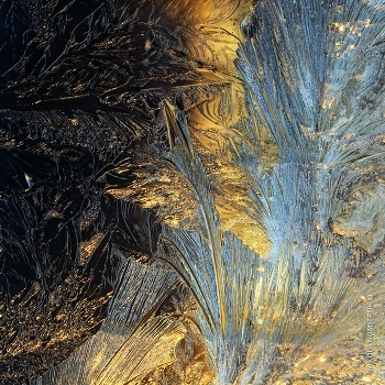  / music : Fire In The Water - Feist
https://www.youtube.com/watch?v=2KuGaiKSfUI&ab_channel=Irene