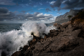 surf / ***