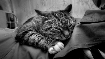 Life around / ***