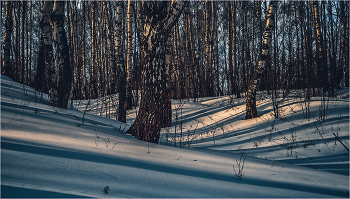 Shadows on the sand / ...