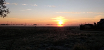 Misty / ***