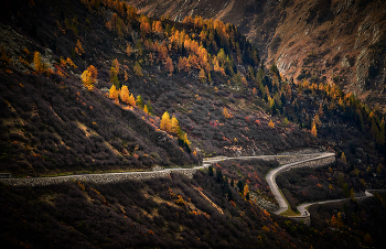 Straße zum Herbst / ***