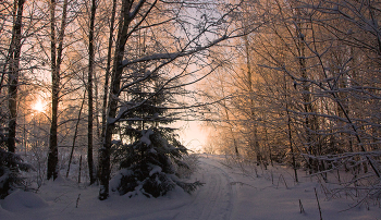 Die Dezember-Nachmittag / ***