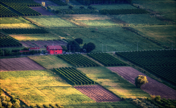 Patchwork / ***