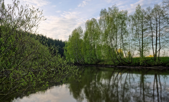 Spring mood / ***