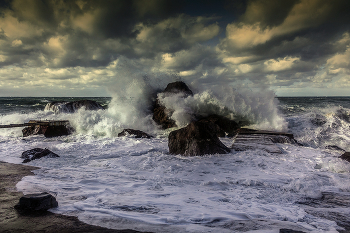 surf / ***