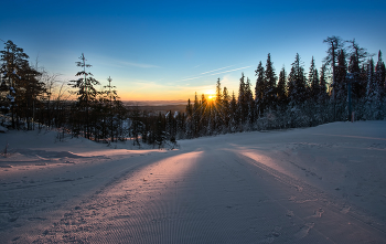 Morning Rays / ***