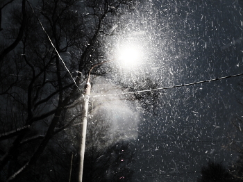 Winterabend / ***