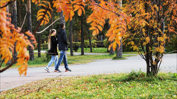 Fall for Two / ***