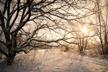 Winter Sun / ***