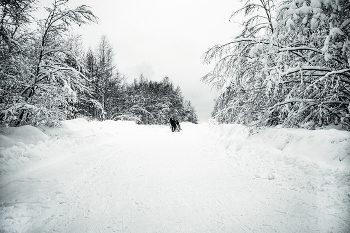 Winter road / ***