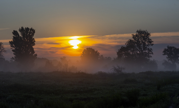 Fog dissipates / ***