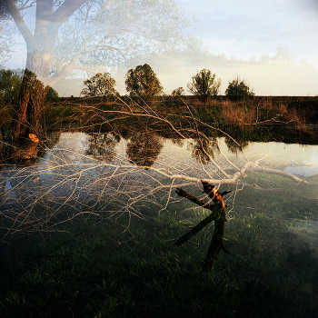 Sunset / ***