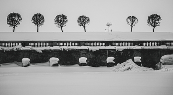 winter park / No comments.