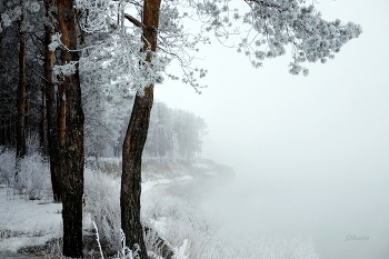 Fog / ***